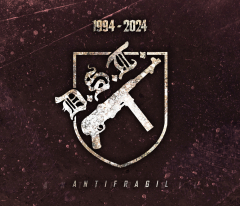 DST Gigapack (1000 Einheiten)